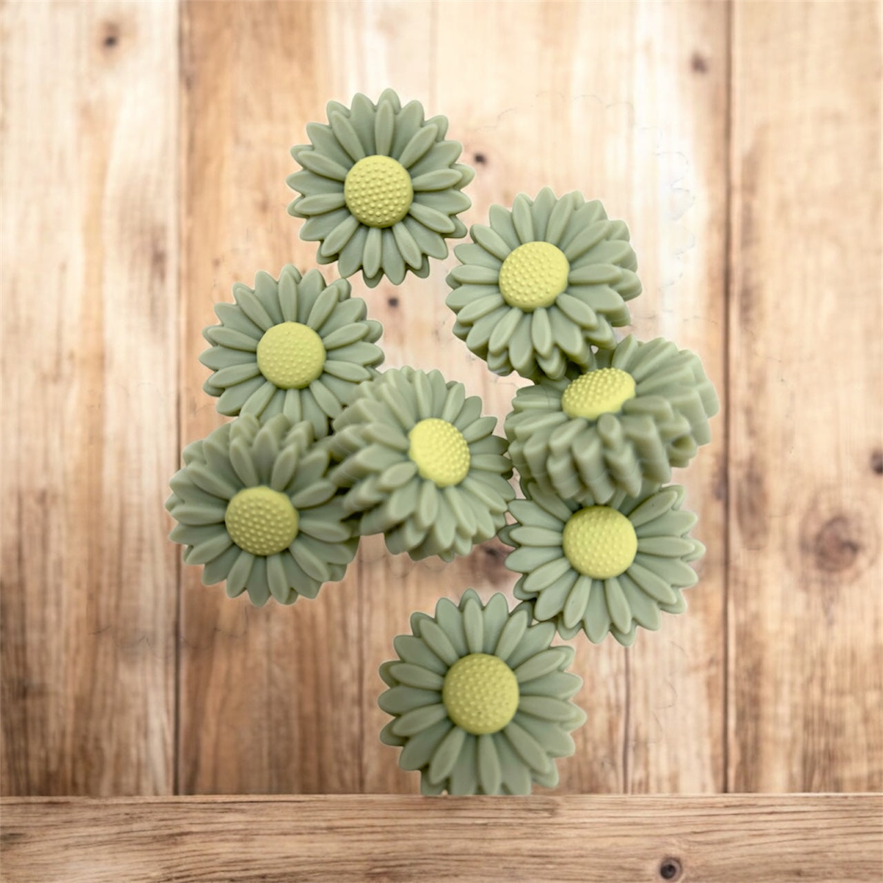 Lint green with yellow middle Daisy (Pack Of 5)