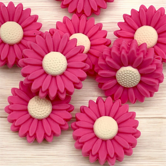 Sakura Daisy (Pack Of 5)