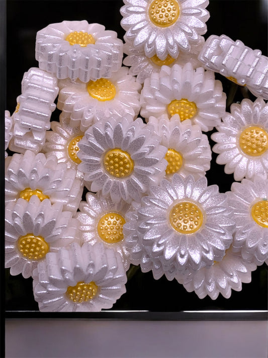 Pearlescent White Daisy (Pack Of 5)