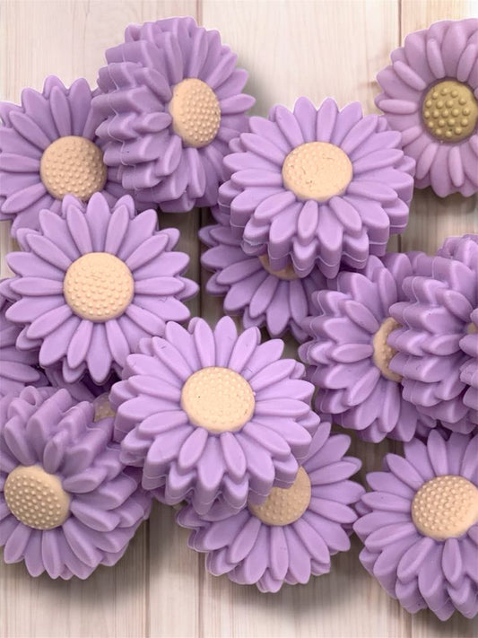 Lavender Fog Daisy (Pack Of 5)