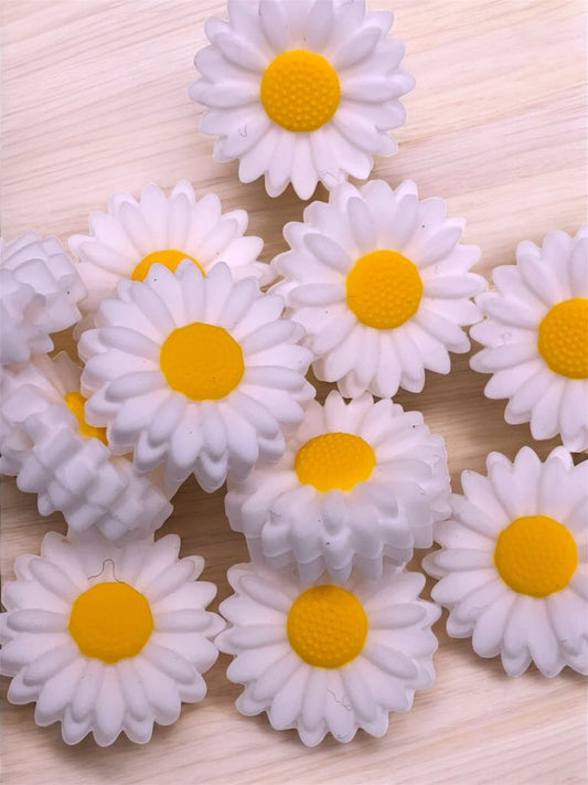 White Daisy (Pack Of 5)